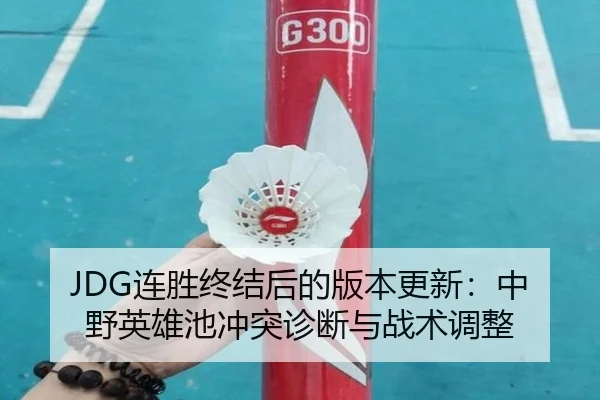 JDG连胜终结后的版本更新：中野英雄池冲突诊断与战术调整