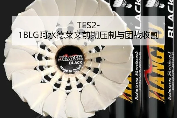 TES2-1BLG阿水德莱文前期压制与团战收割